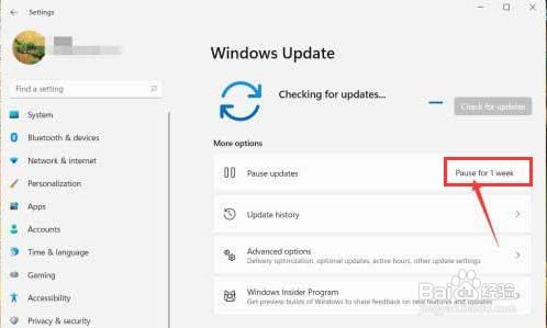 Windows11暂停更新技巧分享