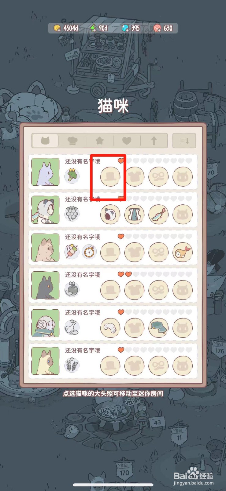 猫咪和汤如何穿戴观星者的头巾