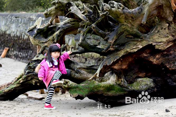 拾海的孩子&亲亲小动物(组图)