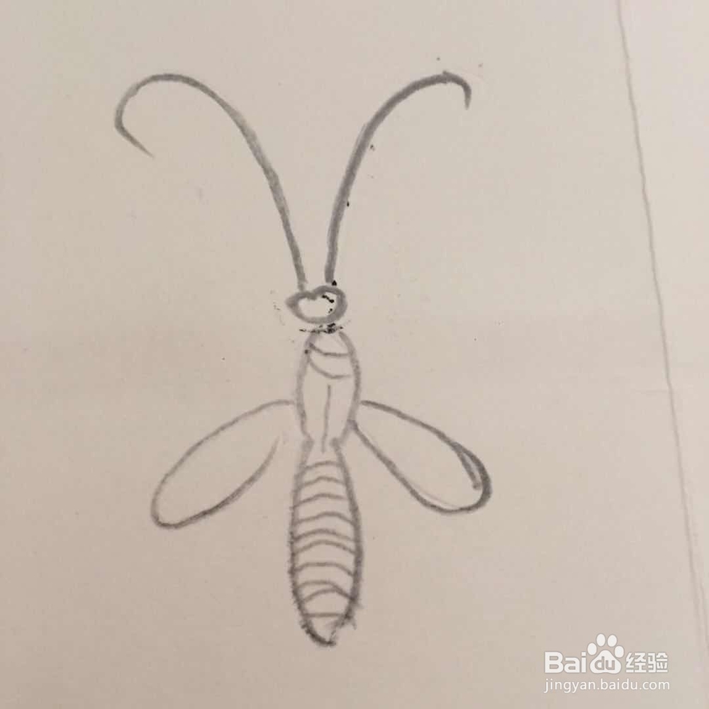 怎样画蝴蝶的简笔画