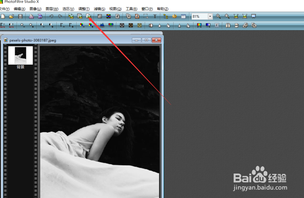如何使用photofiltre对图片使用反片效果？