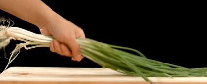 怎么用饺子皮做葱油饼