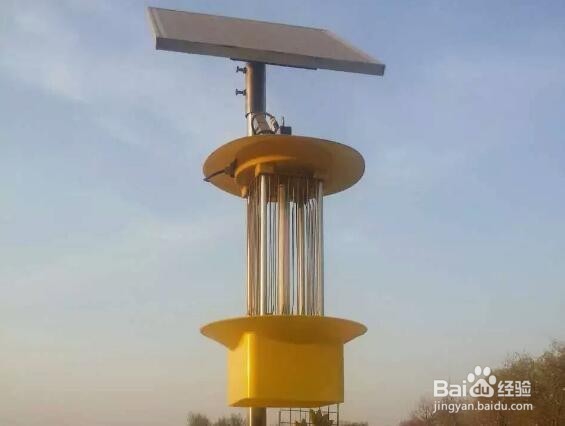 茶叶杀虫灯是怎么保障茶园绿色生产的