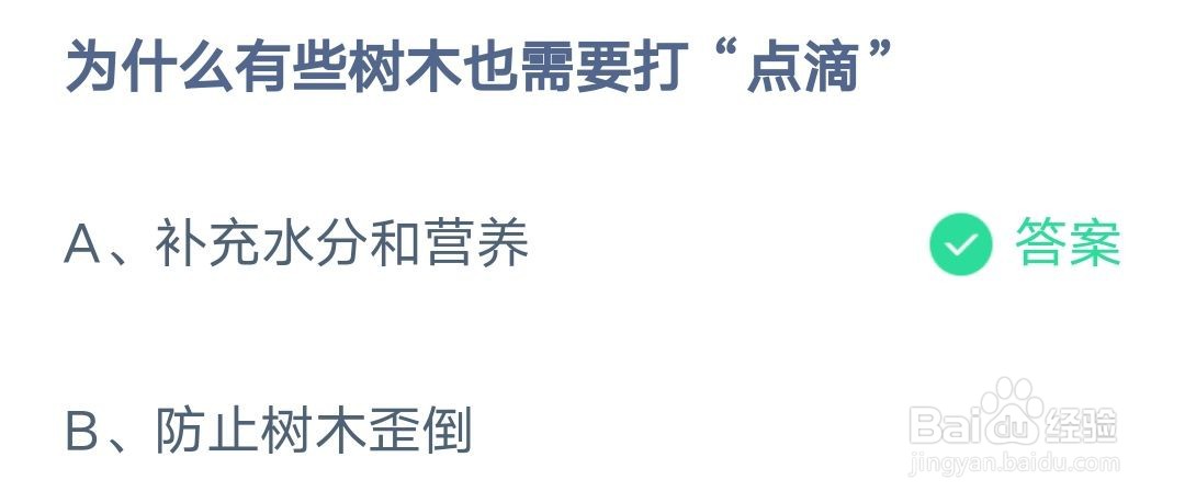 为什么有些树木也需要打点滴 蚂蚁庄园