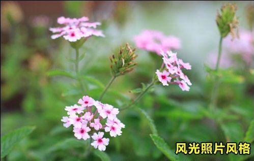 高画质法宝相机RAW格式使用技巧详解