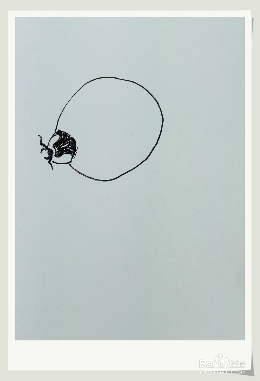 怎样画简笔画“小小七星瓢虫”