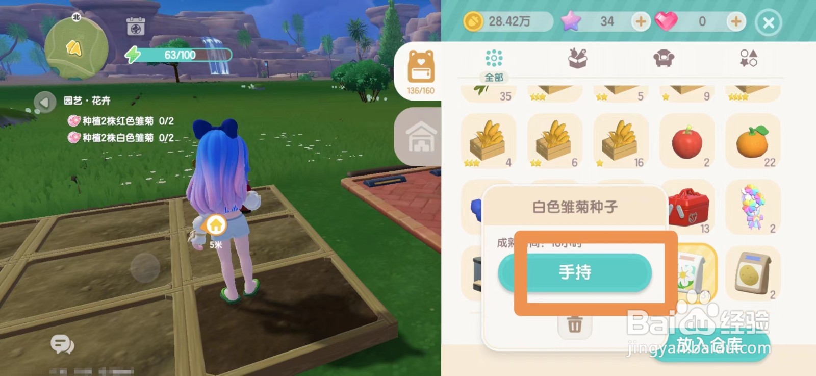 心动小镇怎么种植白色雏菊