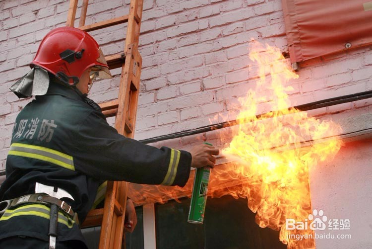 遇到马蜂或者马蜂窝怎么办