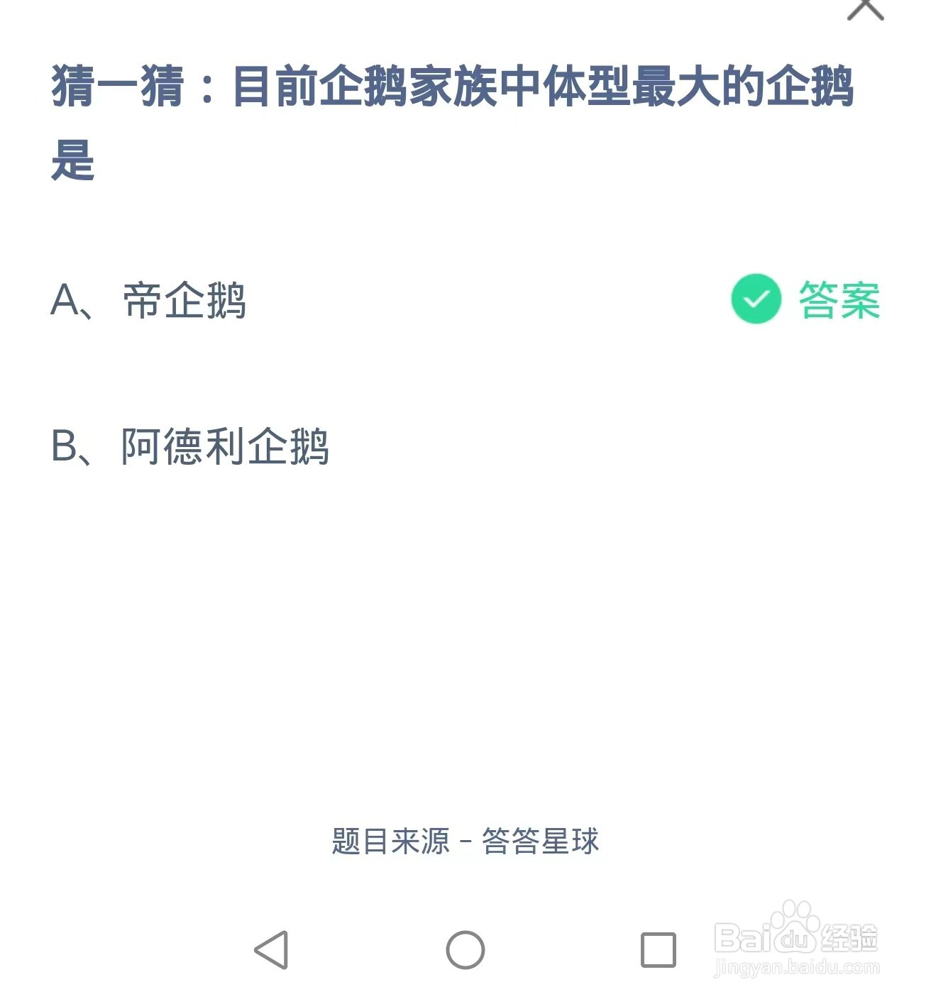 目前企鹅家族中体型最大的企鹅是?
