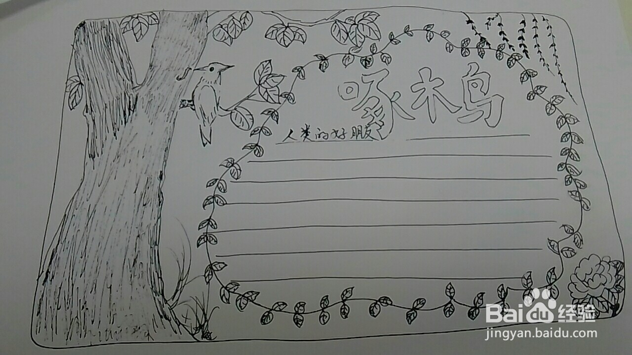 啄木鸟手抄报一等奖