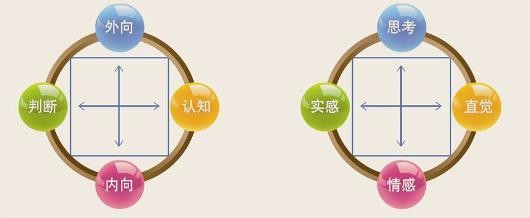 处识心理类型简介
