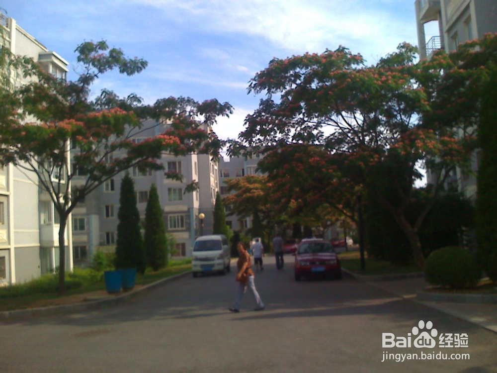 怎样告诉孩子什么是天然的氧吧--13