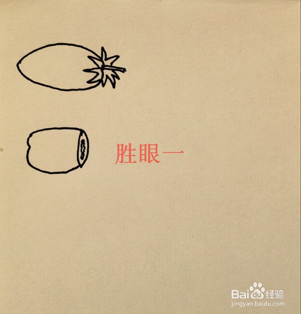 怎样画切开的小西红柿呢?