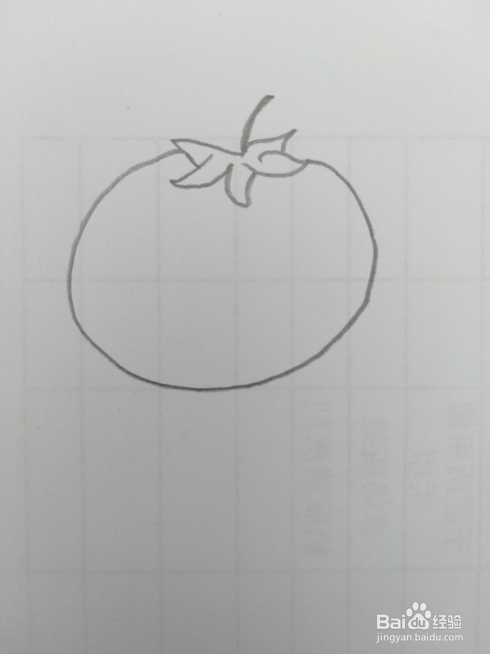 简笔画柿子画法二
