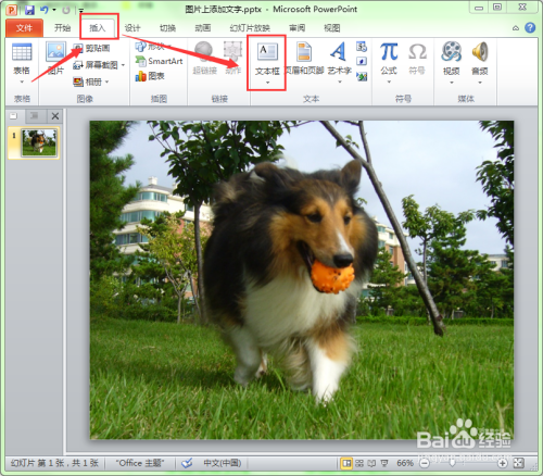 如何在幻灯片的图片中添加文字