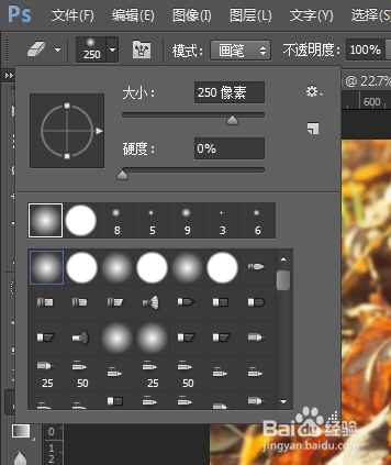 Photoshop如何让照片有朦胧感