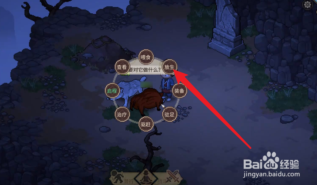 大侠立志传怎么放生宠物