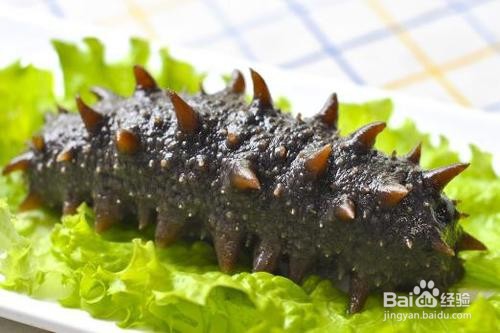 如何分辨假海参