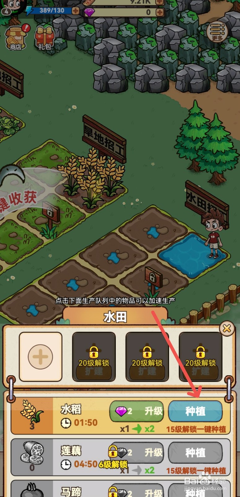 史小坑的爆笑生活怎么种植水稻