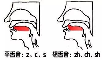 草丛拼音怎么拼?