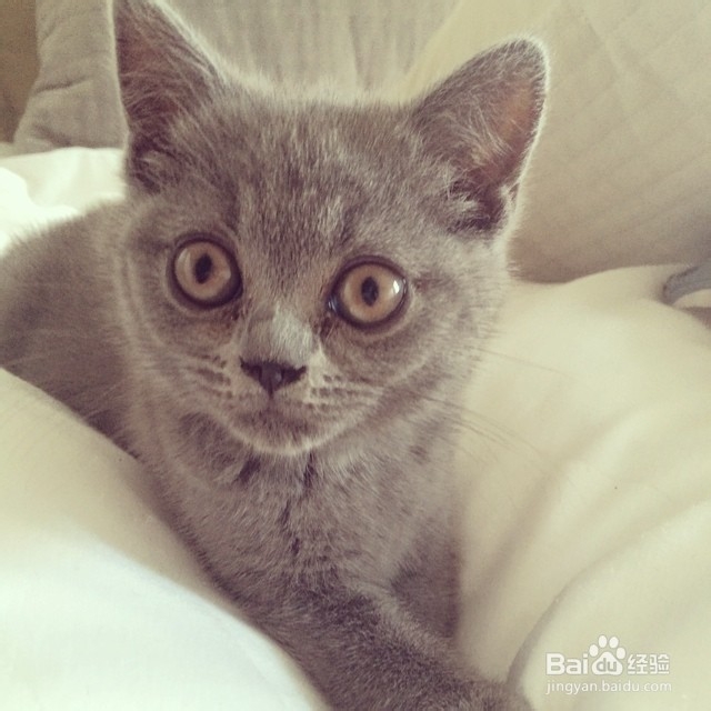 Show you how to Be Nice to a Girl