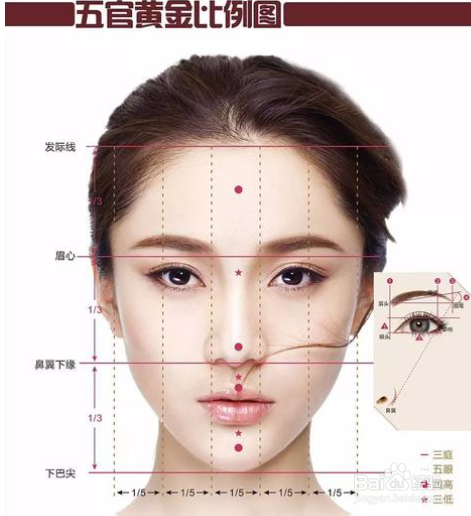 怎么判断是不是瓜子脸