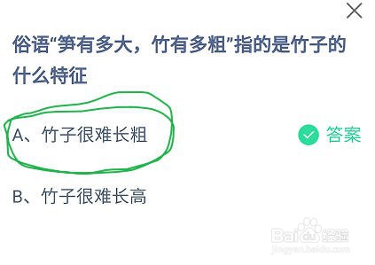 蚂蚁庄园俗语笋有多大竹有多粗指竹子的什么特征