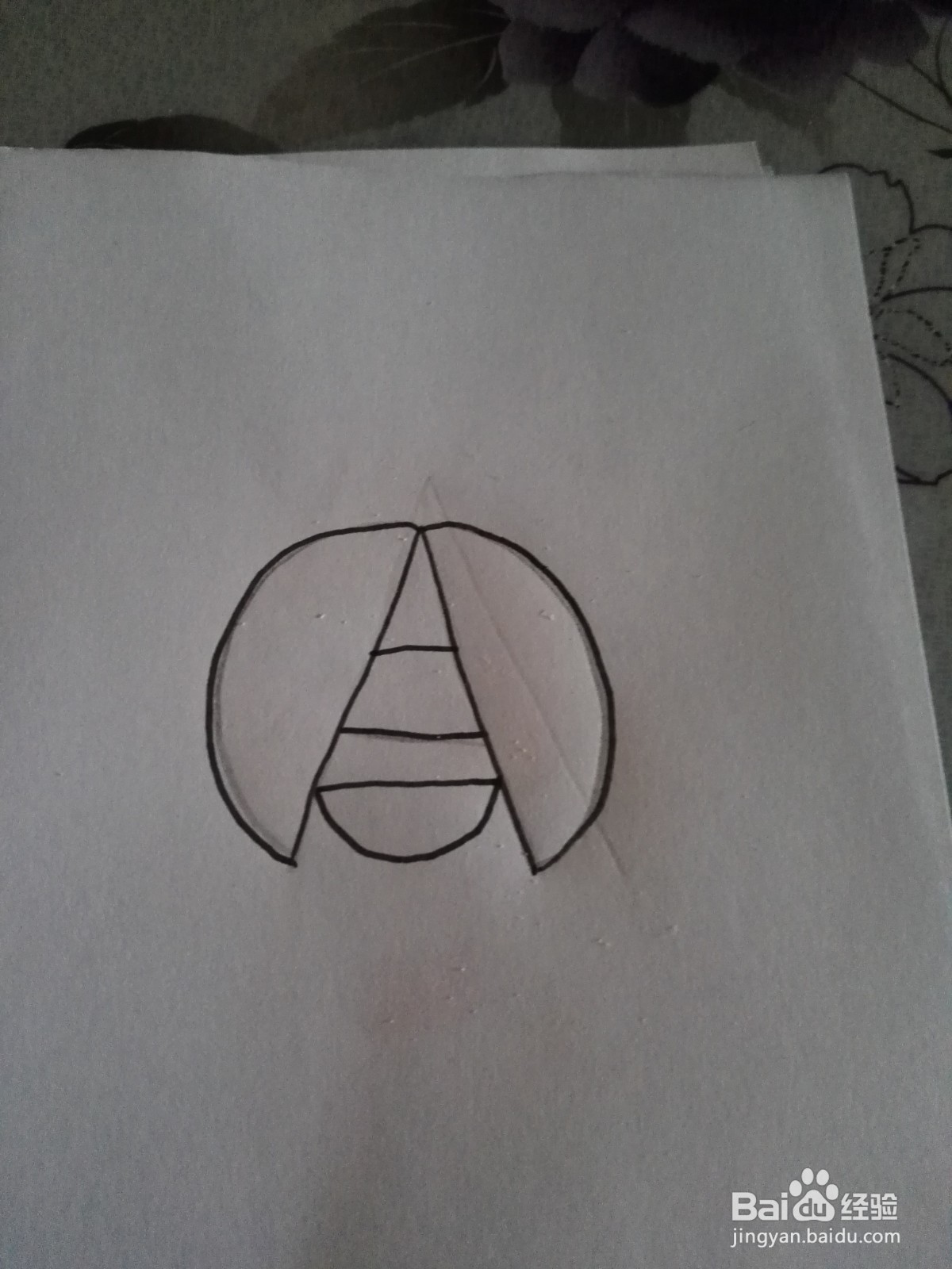 可爱的七星飘虫的简笔画法