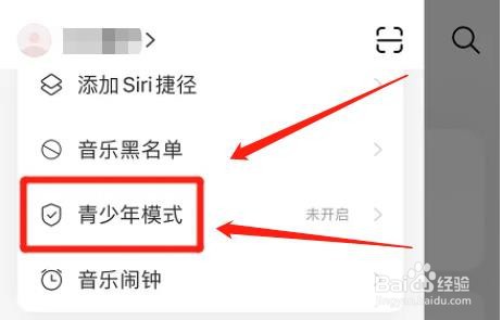 网易云音乐app青少年模式怎么启用
