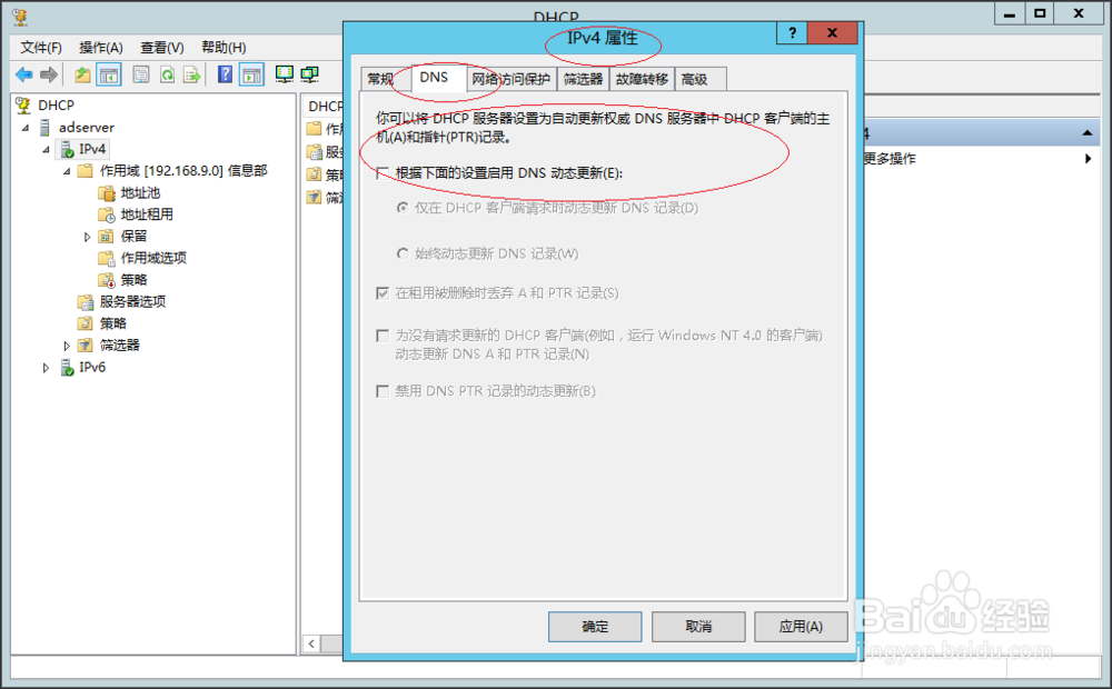 服务器启用DHCP IPv4所有作用域域名动态更新