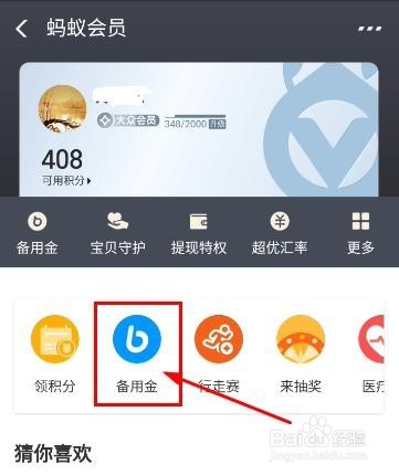 支付宝的备用金怎么用