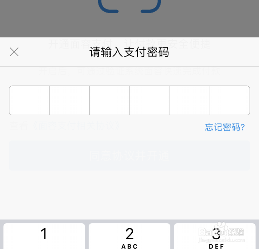 淘宝中怎么打开面容支付
