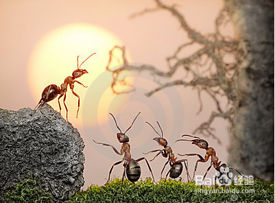 如何写出更多百度原创经验的几个小建议