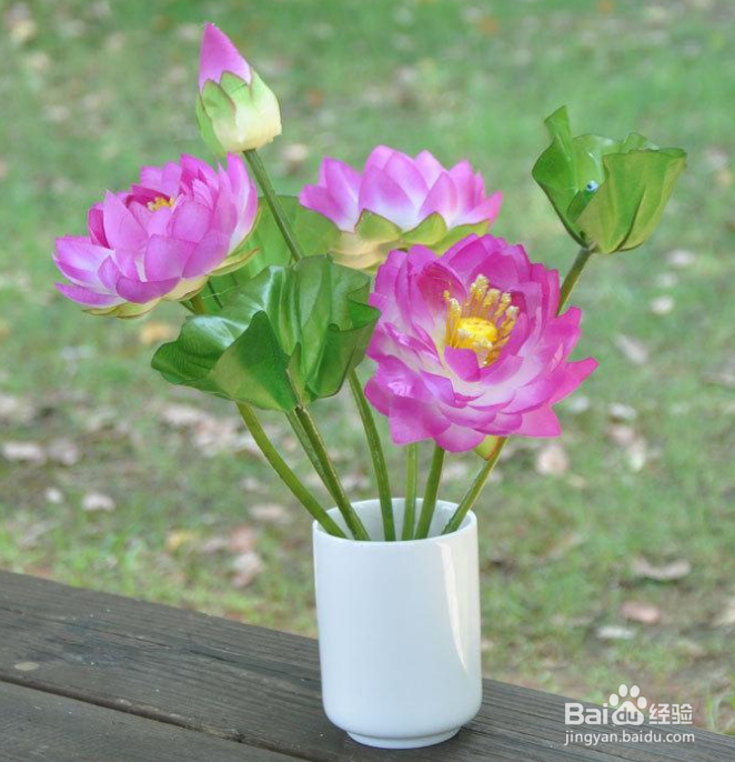 插花睡莲耷拉了怎么办