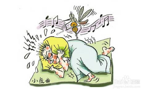 夏天如何防止蚊子叮咬