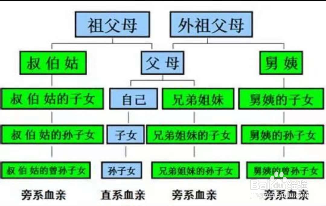社会交往情况如何填写