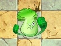 植物大战僵尸——进阶植物的建议(初期篇)