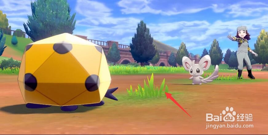 尼多王怎么进化