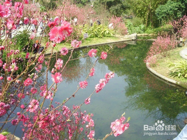 如何快速释放个人压力