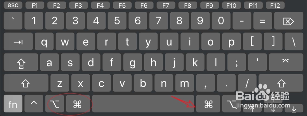 怎么查看safari浏览器的版本