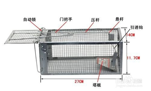 生活/家居 > 生活常识 1 选购铁质的捕鼠笼,网眼要小,铁网要粗, 2