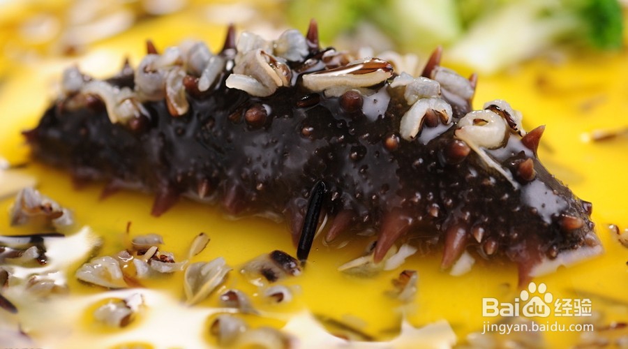 海参如何食用以及食用的禁忌