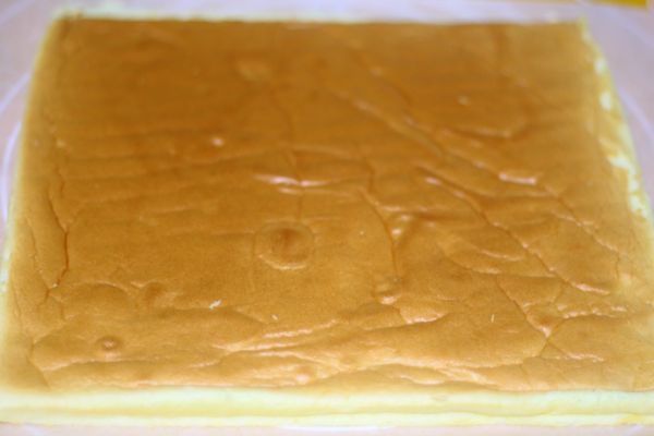 手绘奶油蛋糕卷