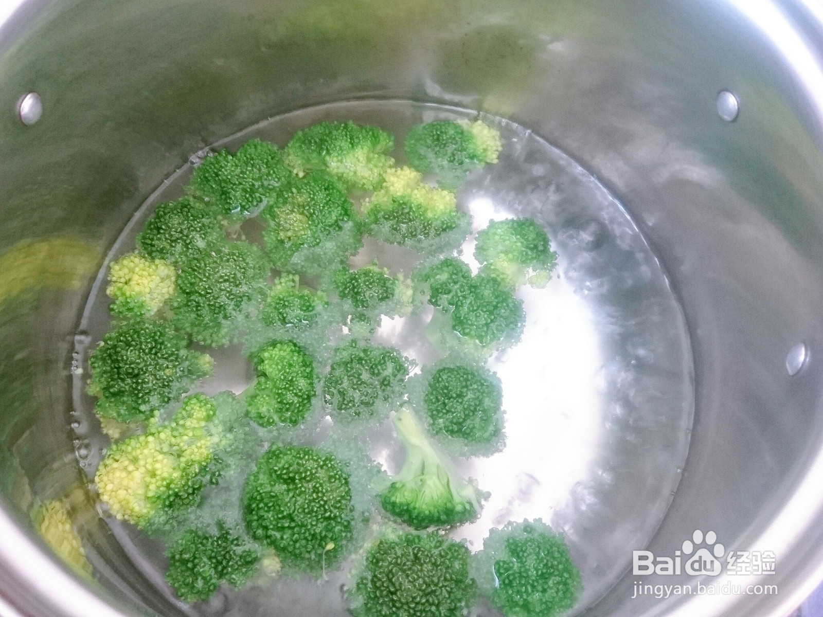 蚝油杏鲍菇怎么做好看又好吃