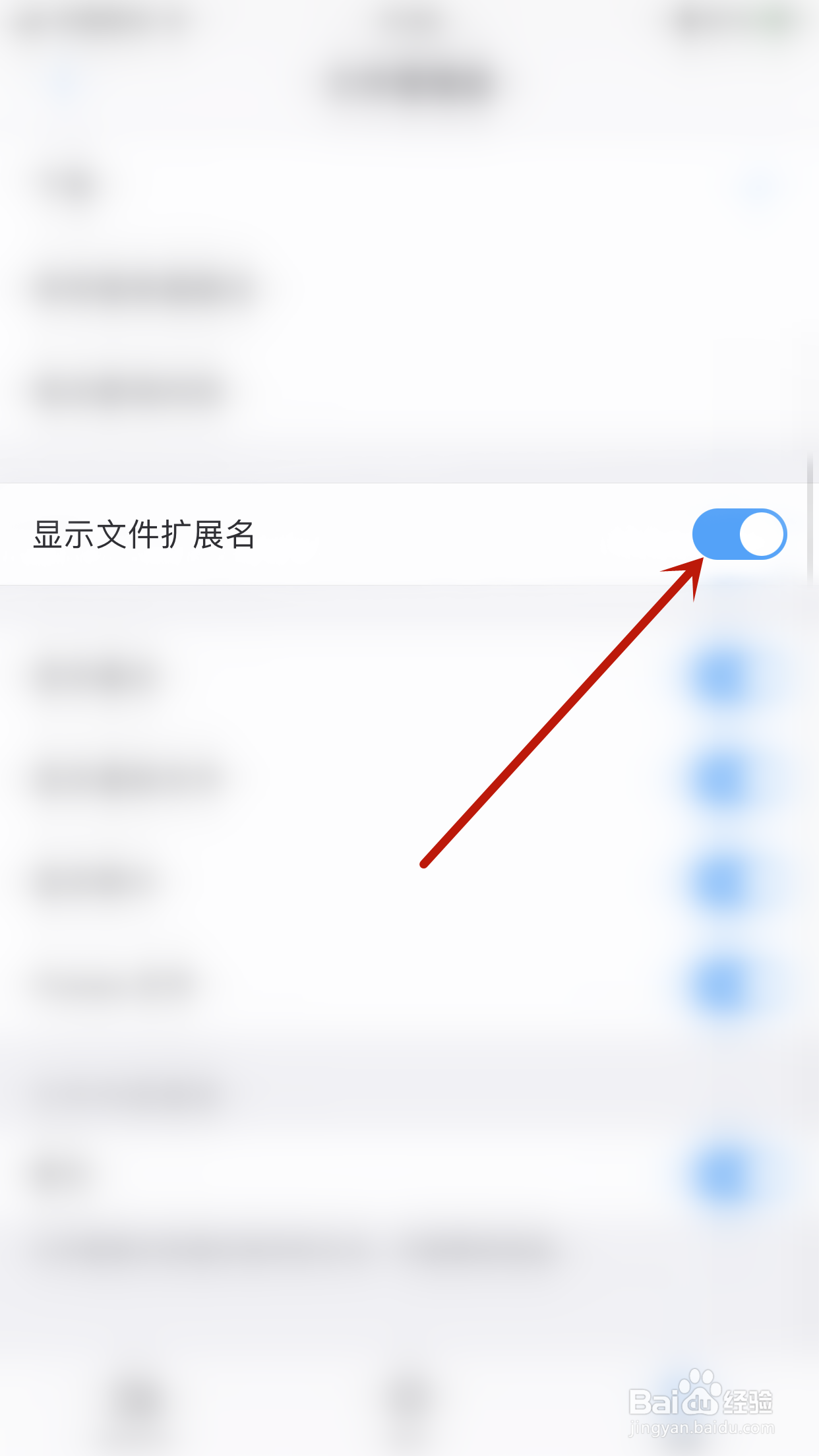 怎么启用PDF Expert显示文件扩展名