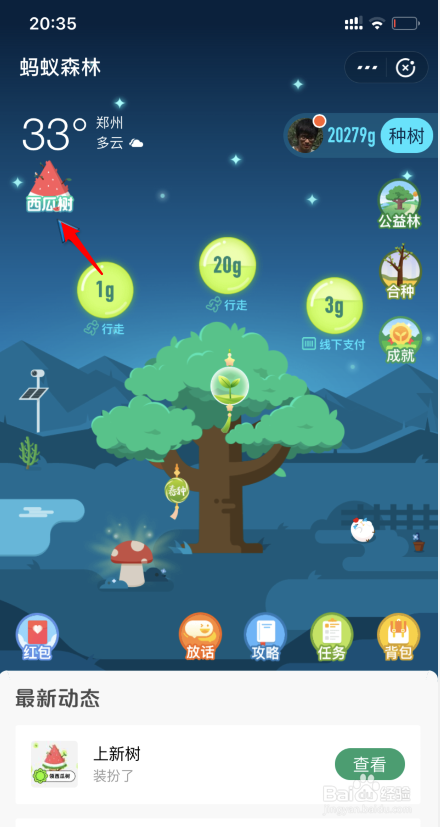 蚂蚁森林西瓜树装扮怎么获得