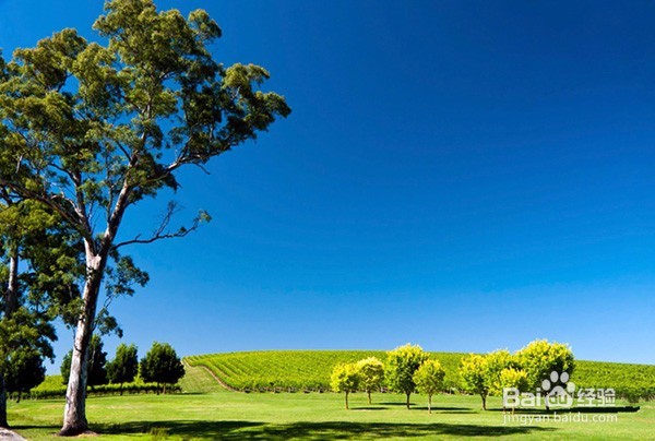 如何过年这一关