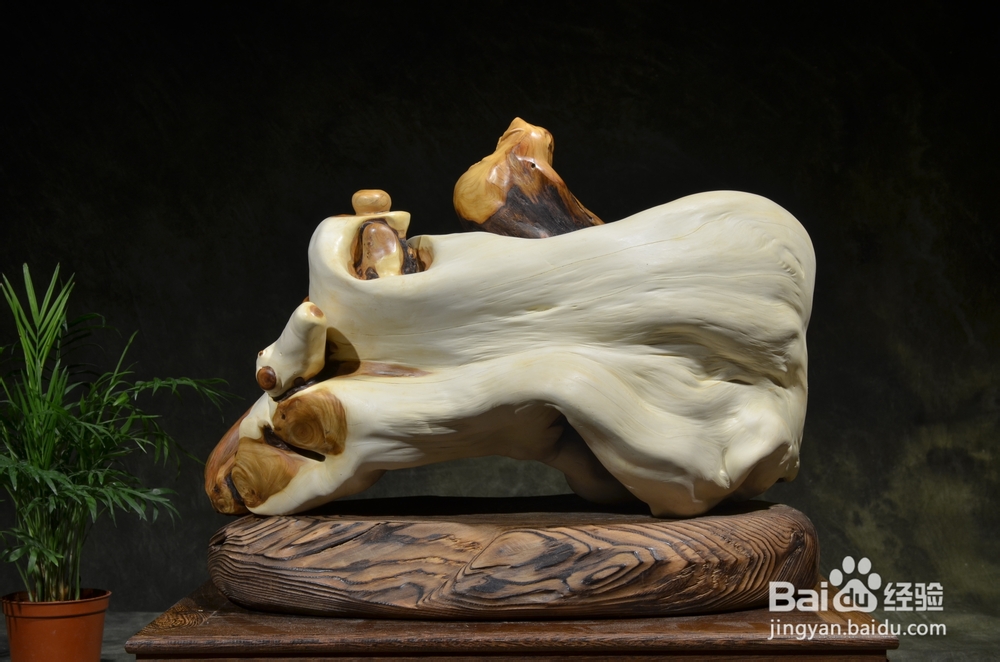 倦勤絮语3：崖柏的冰火两重天