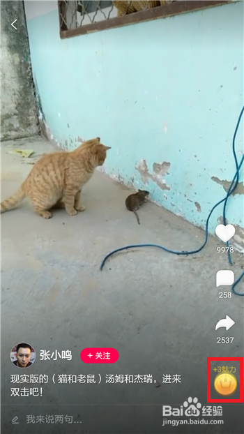 全民小视频怎么快速赚钱