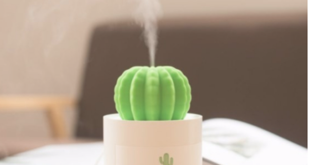 送给女生的小礼物